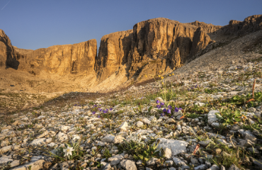 Natura_Alta Badia