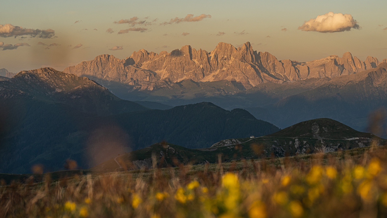 Civetta